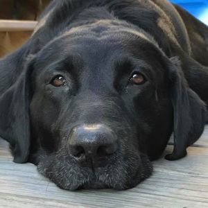 Meet your Posher, Matt